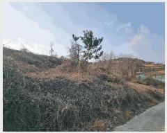  2025Ÿ51168    θ 290-13      (1)