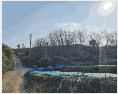  2025Ÿ51168    θ 290-13      (1)