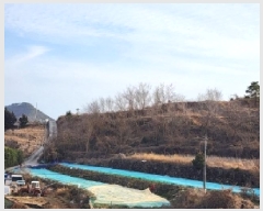  2025Ÿ51168    θ 290-13      (1)