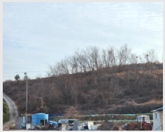  2025Ÿ51168    θ 290-13      (1)