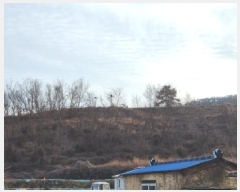  2025Ÿ51168    θ 290-13      (1)