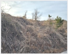  2025Ÿ51168    θ 290-13      (1)