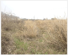  2025Ÿ51222  ﱺ ݻ õ 377      ()