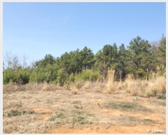  2025Ÿ51222  ﱺ ݻ õ 377      ()