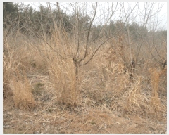  2025Ÿ51222  ﱺ ݻ õ 377      ()