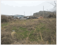  2025Ÿ51222  ﱺ ݻ õ 377      ()