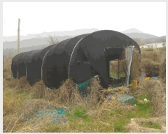  2025Ÿ51222  ﱺ ݻ õ 377      ()