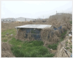  2025Ÿ51222  ﱺ ݻ õ 377      ()