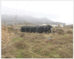  2025Ÿ51222  ﱺ ݻ õ 377      ()