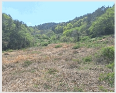  2025Ÿ��51295 ���� ���ﱺ �ο��� �ż۸� 698      ����(��)���