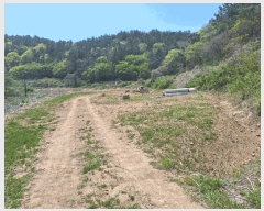  2025Ÿ��51295 ���� ���ﱺ �ο��� �ż۸� 698      ����(��)���