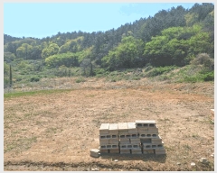  2025Ÿ��51295 ���� ���ﱺ �ο��� �ż۸� 698      ����(��)���