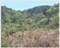  2025Ÿ��51295 ���� ���ﱺ �ο��� �ż۸� 698      ����(��)���