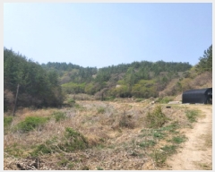  2025Ÿ��51295 ���� ���ﱺ �ο��� �ż۸� 698      ����(��)���