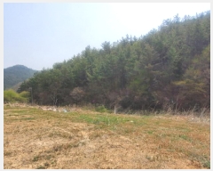  2025Ÿ��51295 ���� ���ﱺ �ο��� �ż۸� 698      ����(��)���