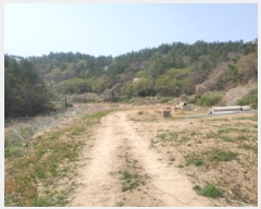  2025Ÿ��51295 ���� ���ﱺ �ο��� �ż۸� 698      ����(��)���