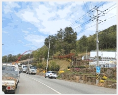  2025Ÿ��51325  �Ӿ߰��