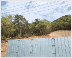  2025Ÿ��51325  �Ӿ߰��