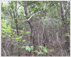  2025Ÿ��51325  �Ӿ߰��