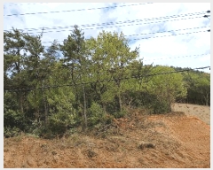  2025Ÿ��51325  �Ӿ߰��