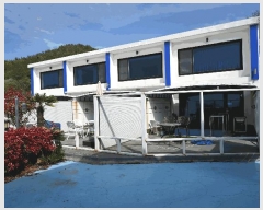  2025Ÿ��51357  ���ڽü����