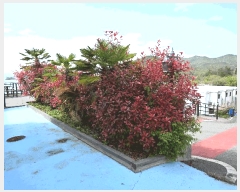  2025Ÿ��51357  ���ڽü����