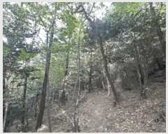  2025Ÿ��51385 ���� ����� ���� ��64       ����(�Ӿ�)���