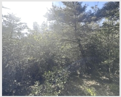  2025Ÿ��51385 ���� ����� ���� ��64       ����(�Ӿ�)���