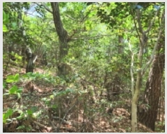  2025Ÿ��51385  �Ӿ߰��