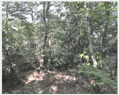  2025Ÿ��51385 ���� ����� ���� ��64       ����(�Ӿ�)���