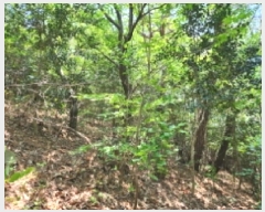  2025Ÿ��51385 ���� ����� ���� ��64       ����(�Ӿ�)���