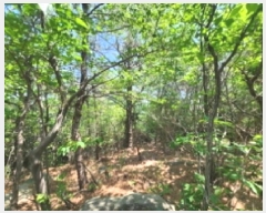  2025Ÿ��51385 ���� ����� ���� ��64       ����(�Ӿ�)���