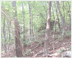  2025Ÿ��51487 ���� ������ ���赿 ��139       ����(�Ӿ�)���