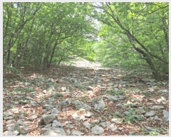  2025Ÿ��51487 ���� ������ ���赿 ��139       ����(�Ӿ�)���