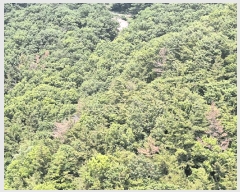  2025Ÿ��51487 ���� ������ ���赿 ��139       ����(�Ӿ�)���