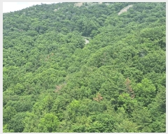  2025Ÿ��51487 ���� ������ ���赿 ��139       ����(�Ӿ�)���