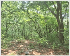  2025Ÿ��51487 ���� ������ ���赿 ��139       ����(�Ӿ�)���