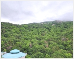  2025Ÿ��51487 ���� ������ ���赿 ��139       ����(�Ӿ�)���