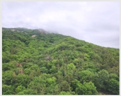  2025Ÿ��51487 ���� ������ ���赿 ��139       ����(�Ӿ�)���