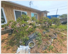  2025Ÿ51499  õ 뵿 664-1       (1)