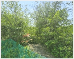  2025Ÿ��51529  �����