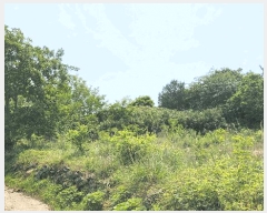  2025Ÿ��51529  �����