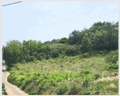  2025Ÿ��51529  �����