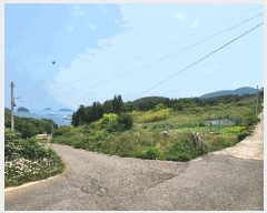  2025Ÿ��51529  �����