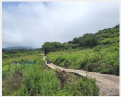  2025Ÿ��51529  �����