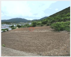  2025Ÿ��51607 ���� ������ ������ �ź��� 819-1      ����(��1)���