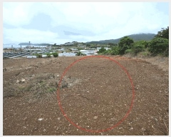  2025Ÿ��51607 ���� ������ ������ �ź��� 819-1      ����(��1)���