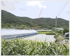  2025Ÿ��51607 ���� ������ ������ �ź��� 819-1      ����(��1)���