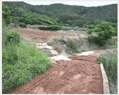  2025Ÿ��51607 ���� ������ ������ �ź��� 819-1      ����(��1)���