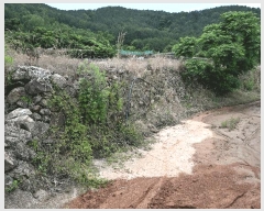  2025Ÿ��51607 ���� ������ ������ �ź��� 819-1      ����(��1)���